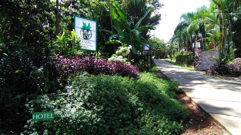 Oasis De Las Palmas Ojochal Ngoại thất bức ảnh